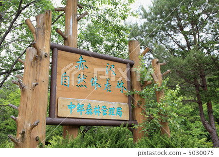 Akazawa自然休閒森林·招牌1 Akazawa自然休閒森林·招牌1 5030075