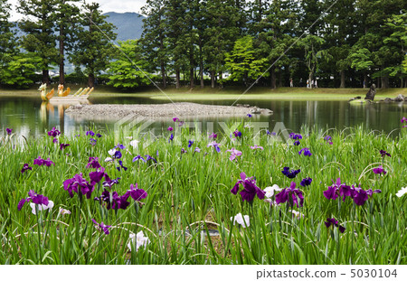 Ayame garden of Hogoshigaji 5030104