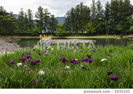 Hogoshigaji的Ayame花園 5030105