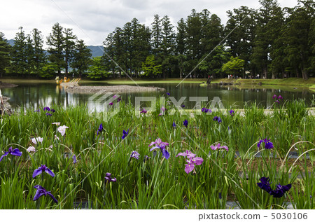 Hogoshigaji的Ayame花園 5030106