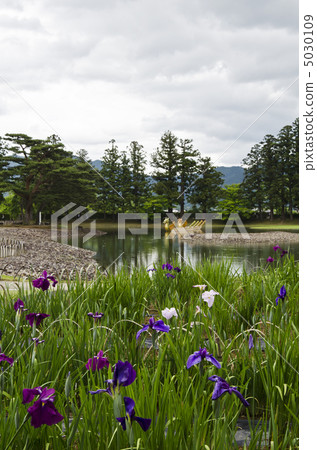 Ayame garden of Hogoshigaji 5030109