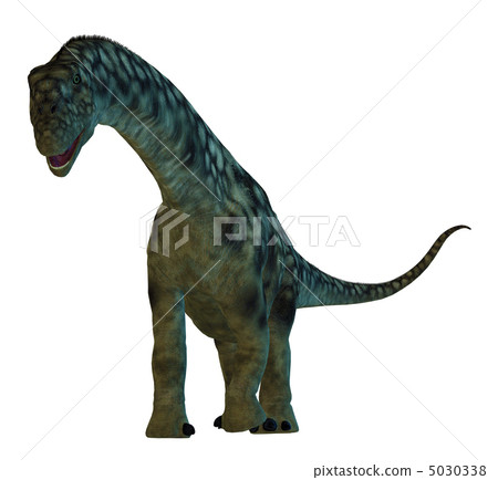 雷龍☆雷龍 5030338