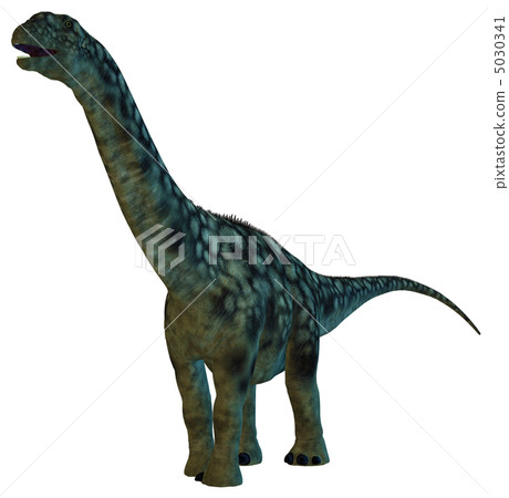 雷龍☆雷龍 5030341