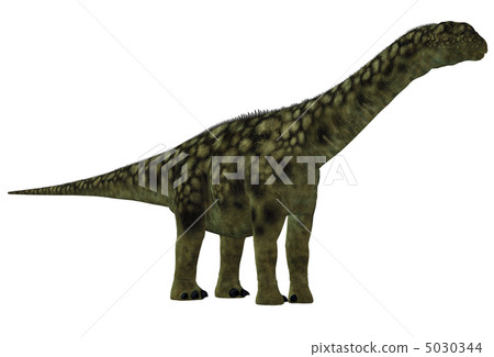 Brontosaurus ☆ Apatosaurus 5030344