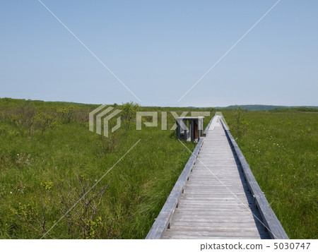 Kushiro Wetland Polar stroll wood road 5030747