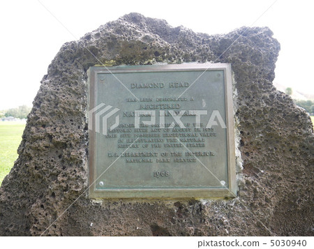 鑽石頭 鑽石頭 5030940