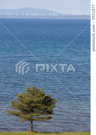 Wind power generation Aomori prefecture Heiuchi cho Ocean Mutsu Bay Wind power generation Aomori prefecture Heiuchi cho Ocean Mutsu Bay 5031877