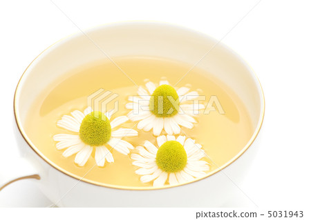 洋甘菊茶 5031943