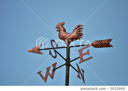 Weather chicken at our house 5032660