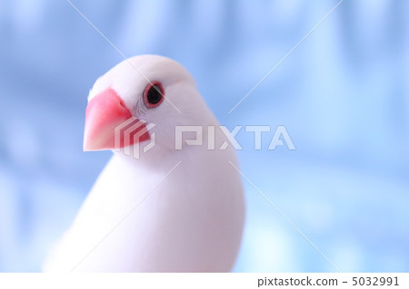  Bunshun no Son 5032991