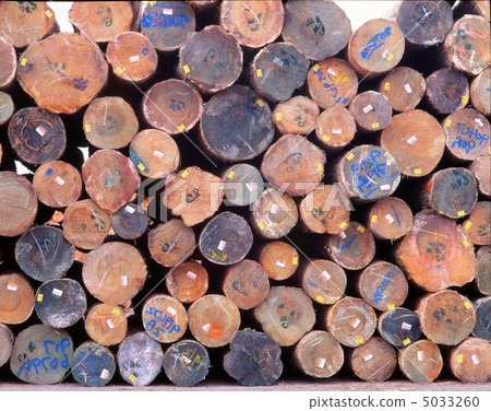 Imported timber of industrial port 5033260