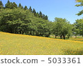  蒲公英領域 5033361