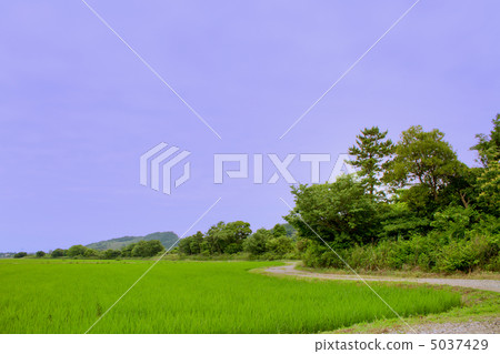 country  5037429