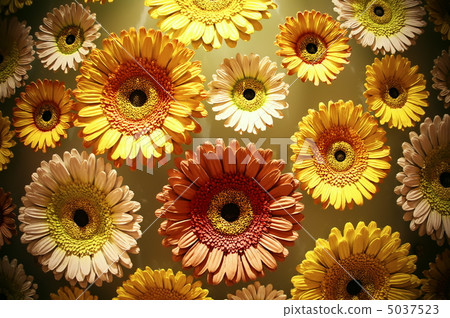 Artificial flower sunflower Artificial flower sunflower 5037523