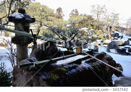妙滿寺，雪景和植被 5037582