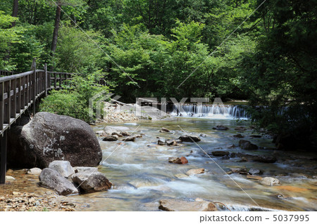 Akazawa natural resting forest · floor weir 5037995