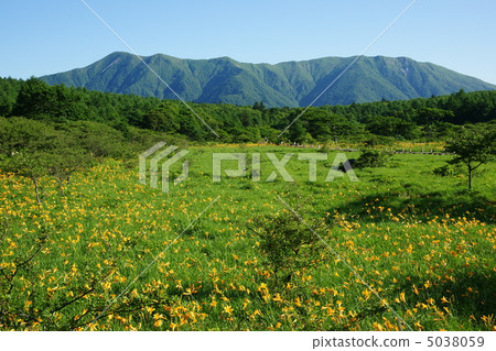 Numagaru Marshland Nikko Kishge 5038059