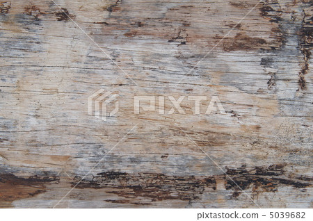 木紋 5039682