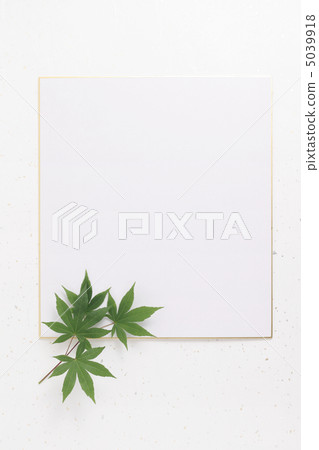 Colored paper on Japanese paper and green leaves of maple Colored paper on Japanese paper and green leaves of maple 5039918