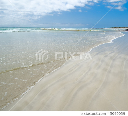 tortuga beach, galapagos islands, ecuador 5040039