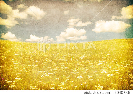 grunge image of green field and blue sky 5040286