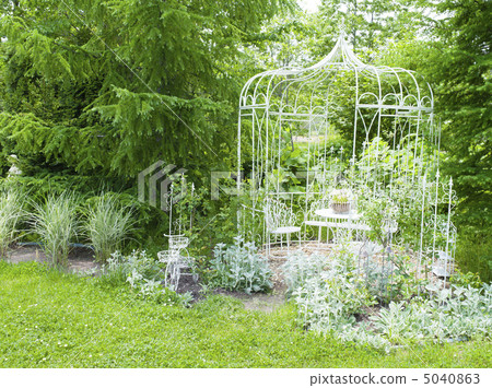 The garden (English garden) 5040863