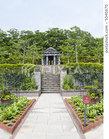 The garden (English garden) 5040870