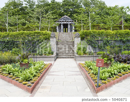 The garden (English garden) 5040871