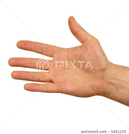 Opened male palm Opened male palm 5041226