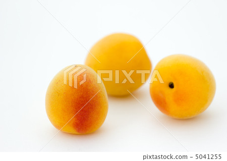 Minami Takane 5041255