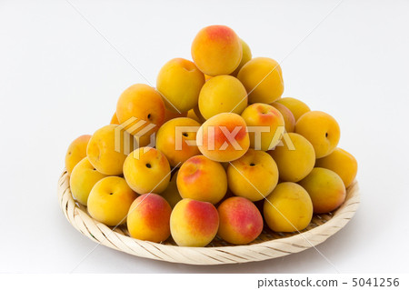 Minami Takane 5041256