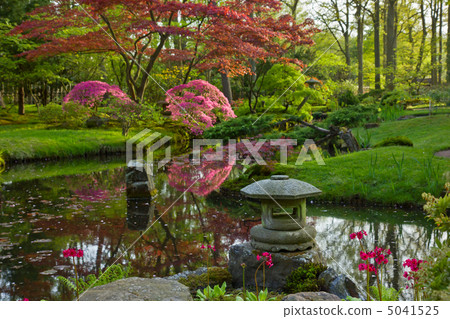 Japanese garden 5041525