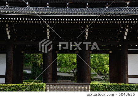 The gate and the fresh green of Tofukuji 5043636
