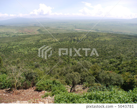 African ground strip African ground strip 5043781