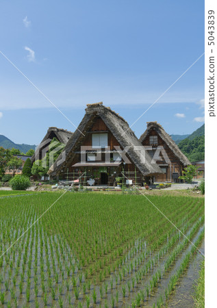 雨季之間 5043839