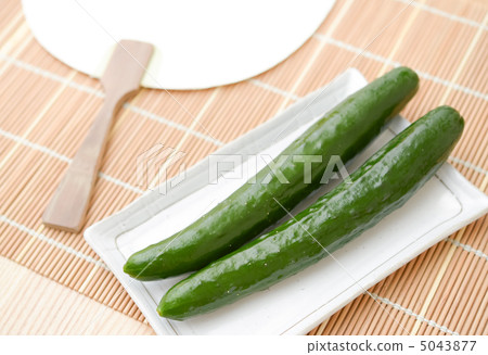 黃瓜和粉絲 5043877