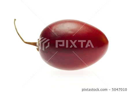 Big tamarillo isolated on white Big tamarillo isolated on white 5047010