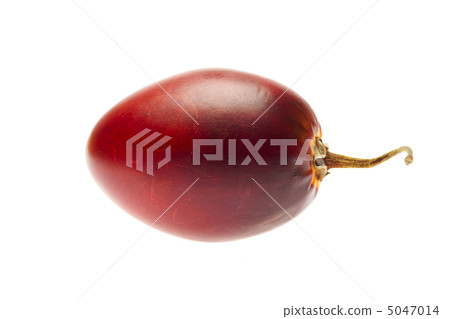 Big tamarillo isolated on white Big tamarillo isolated on white 5047014