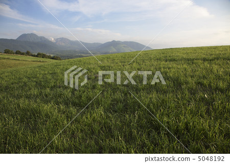 Kusumi Kusumi 5048192