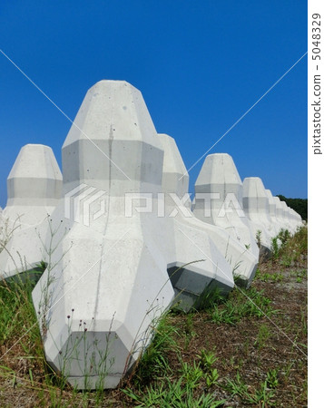 Tetrapod  5048329