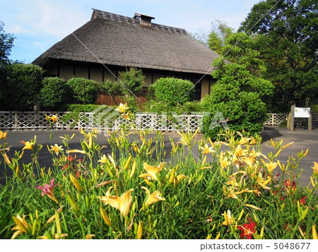 肚臍公園老房子和親吻 肚臍公園老房子和親吻 5048677