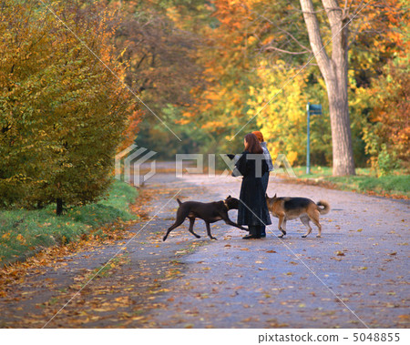 巴黎的光芒 5048855