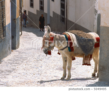 Spain light and shadows 5049495