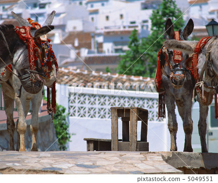 Spain light and shadows 5049551