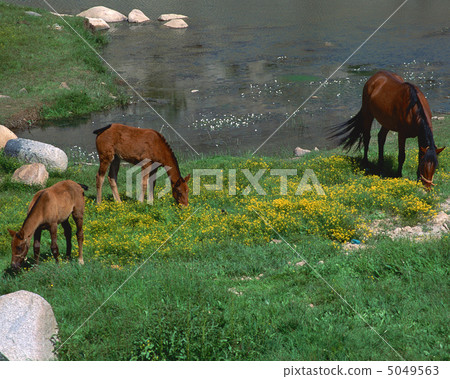 西班牙光與影 5049563