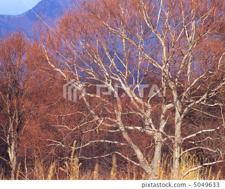 Japanese mountain calendar 5049633