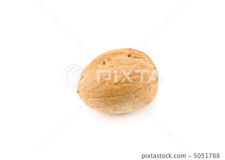 Walnut isolated on white 5051788