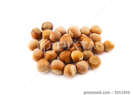 hazelnuts isolated on white hazelnuts isolated on white 5051950