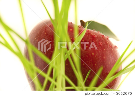 apple with leaf isolated on white apple with leaf isolated on white 5052070