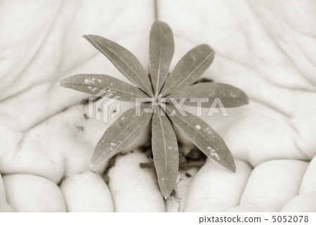 germ in the hands 5052078